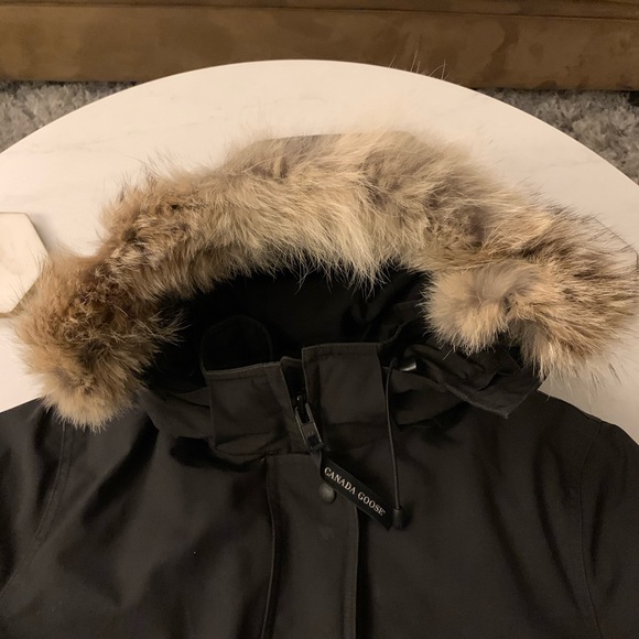 Trillium Canada goose - Picture 6 of 7